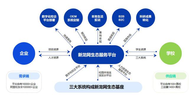 九游娱乐文化：新龙网助力数字化转型：免费部署校企合作平台(图2)