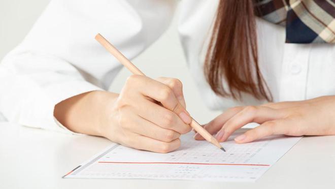中小型教育机构的数字化转型：低成本搭建网校系统钉考单招(图2)