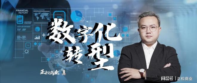 拥抱数字时代：企业数字化转型的全面解析(图4)