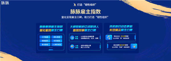 脉脉2024MAX年度职场盛典举行林凡现场发布职得去公司榜(图4)