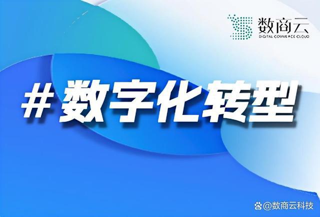 九游娱乐文化：数字化转型案例分析：中小企业如何实现产业升级｜数商云
