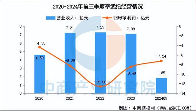 九游娱乐文化：2025年中国AI芯片行业市场前景预测研究报告（简版）(图9)