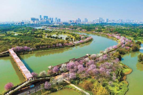读懂广州·粤韵丨江海明珠岁月长勇立潮头向未来
