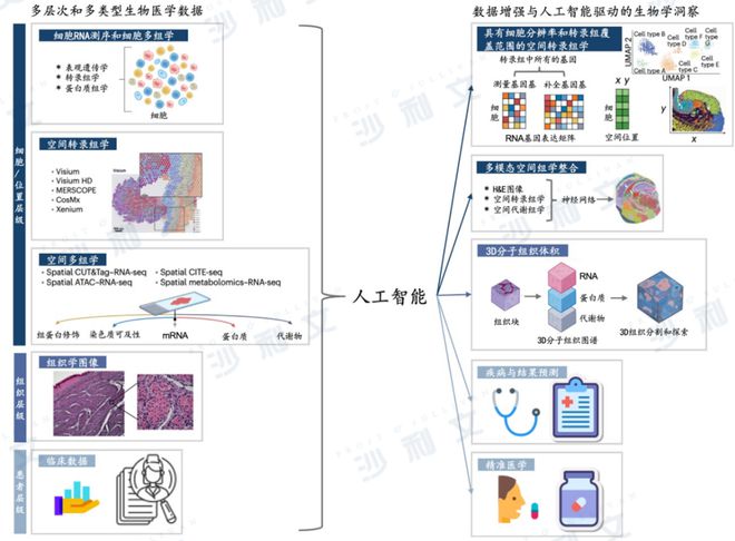 沙利文正式发布《2024年AI生命组学市场研究报告》丨AI生命组学驱动转化医学全流程解决方案体系化升级(图4)