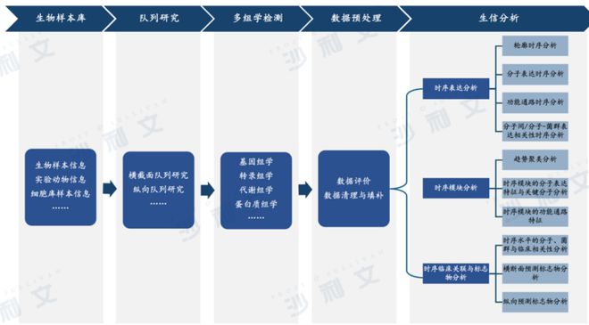 沙利文正式发布《2024年AI生命组学市场研究报告》丨AI生命组学驱动转化医学全流程解决方案体系化升级(图3)