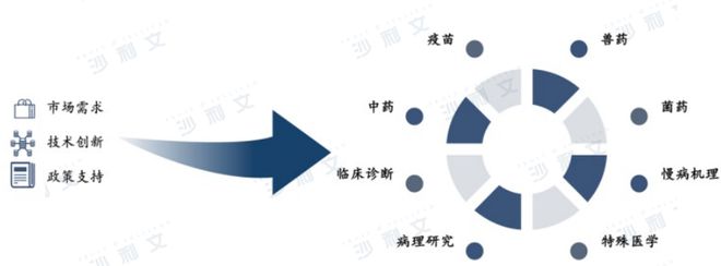 沙利文正式发布《2024年AI生命组学市场研究报告》丨AI生命组学驱动转化医学全流程解决方案体系化升级(图8)