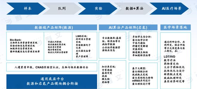 沙利文正式发布《2024年AI生命组学市场研究报告》丨AI生命组学驱动转化医学全流程解决方案体系化升级(图9)