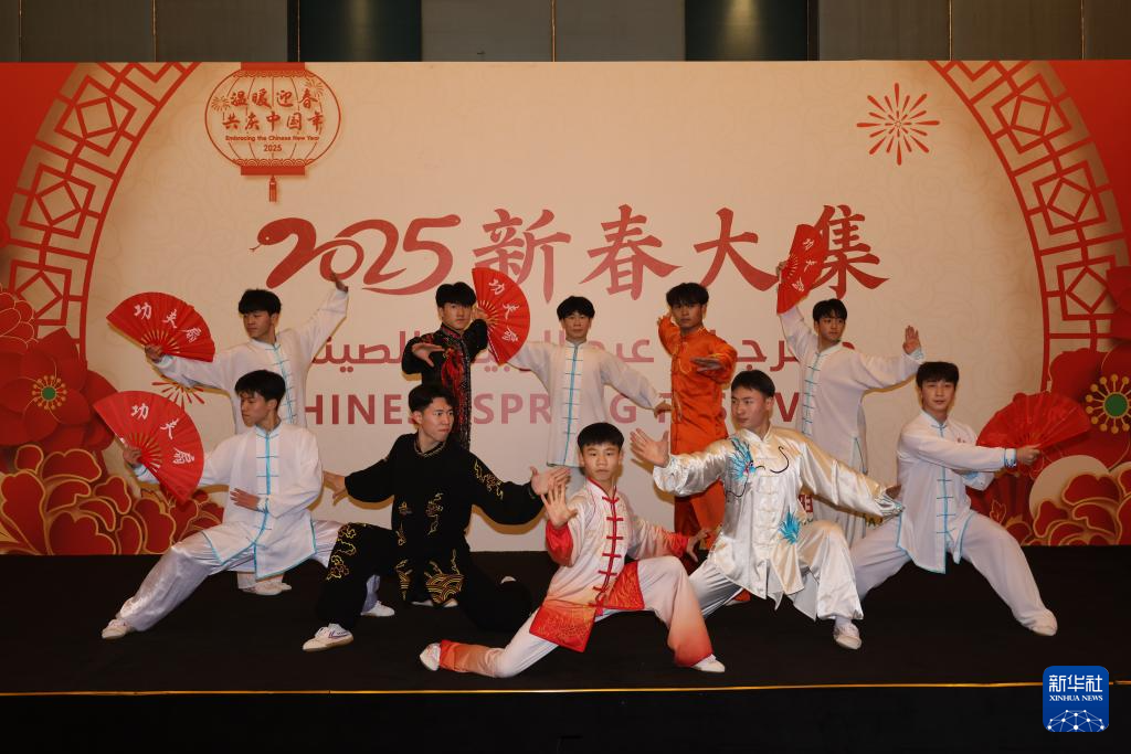 沙特举办“新春大集”迎接“中沙文化年”(图5)