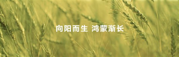 HDC2025：HarmonyOS技术赋能全场景内容体验驱动伙伴商业增长(图19)