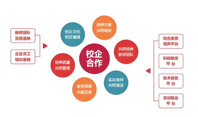 数字化校园与职业学校的融合：探索与实践(图3)