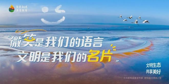 省教育数字化创新案例！射阳+1(图2)