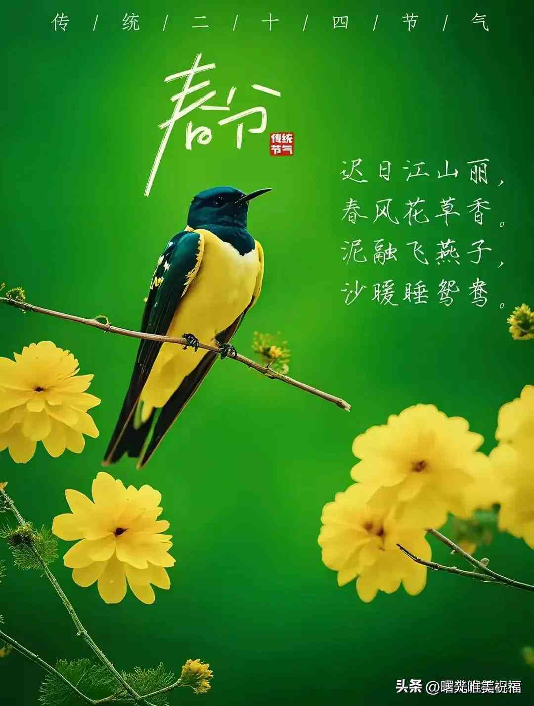 探索2024最新免费AI文案创作工具：全方位盘点满足各类创作需求(图8)