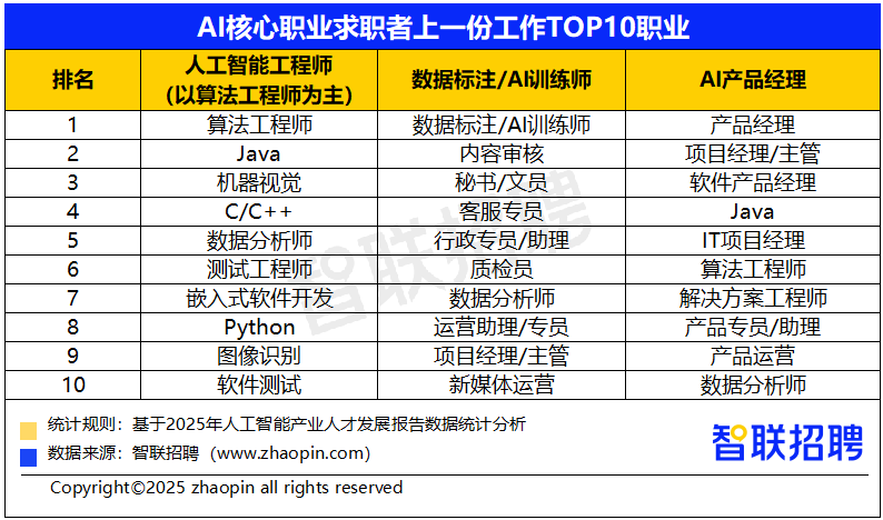 九游娱乐文化：2025年人工智能产业人才发展报告(图19)