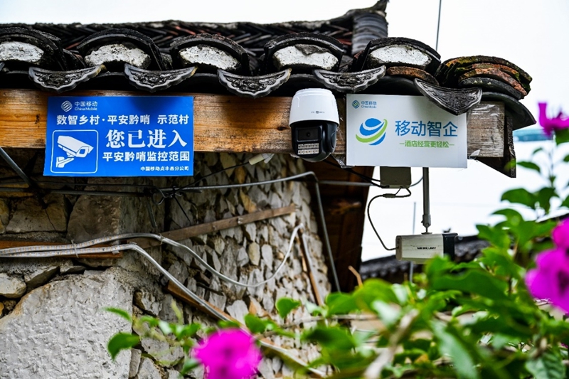 九游娱乐文化：从花江峡谷大桥出发：探访“多彩贵州移起向新”(图10)