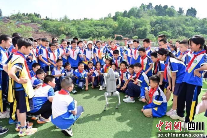 九游娱乐：简阳这五年：优质教育惠万家