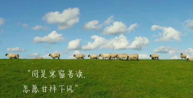 2025年数字化转型时代必备证！