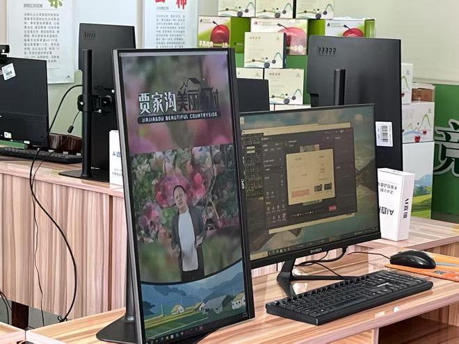 AI赋能乡村振兴：烟台市桃村镇贾家沟村智慧农业发展的案例研究(图7)