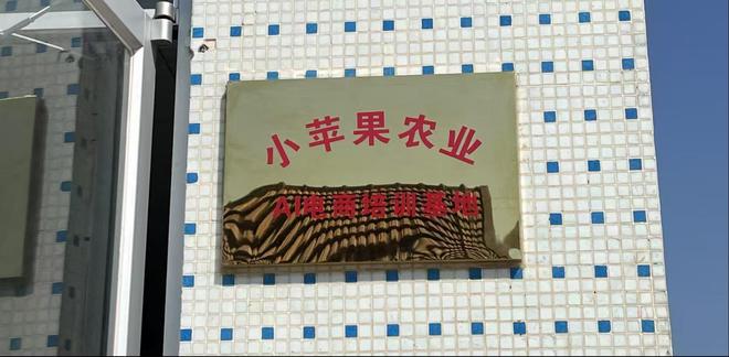 AI赋能乡村振兴：烟台市桃村镇贾家沟村智慧农业发展的案例研究(图5)