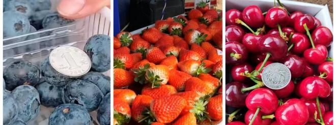 AI赋能乡村振兴：烟台市桃村镇贾家沟村智慧农业发展的案例研究(图8)