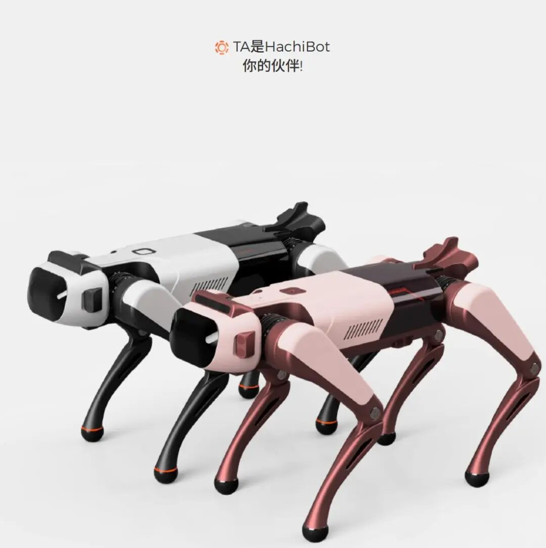 九游娱乐：AI宠物机器人如此小众的赛道红杉也投了？(图3)