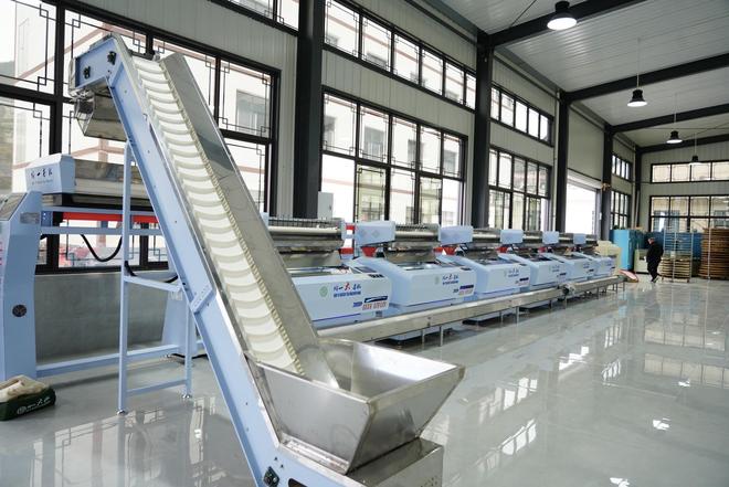 镇巴举办第三十四届“科技之春”宣传月活动以科技之力激活茶产业发展新动能(图3)