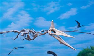 行业经济_中研普华行业研究网(图12)