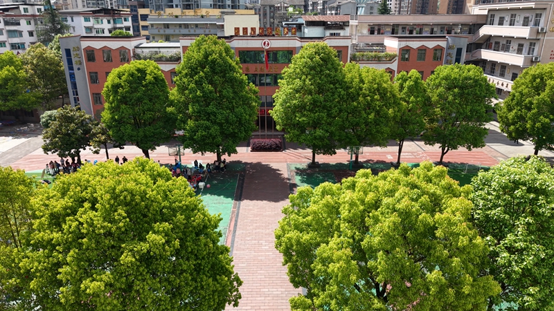 九游娱乐文化：拥抱AI！桐梓娄山关将军希望小学“数字化”教学提质增效